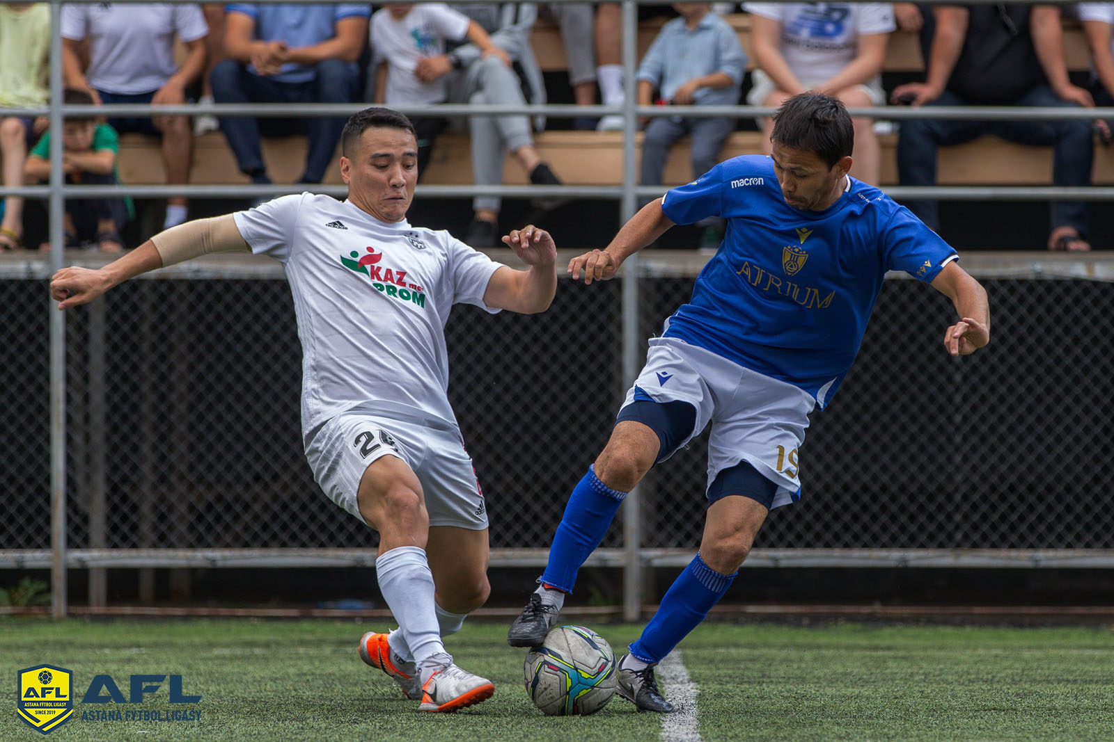 IMG 8117