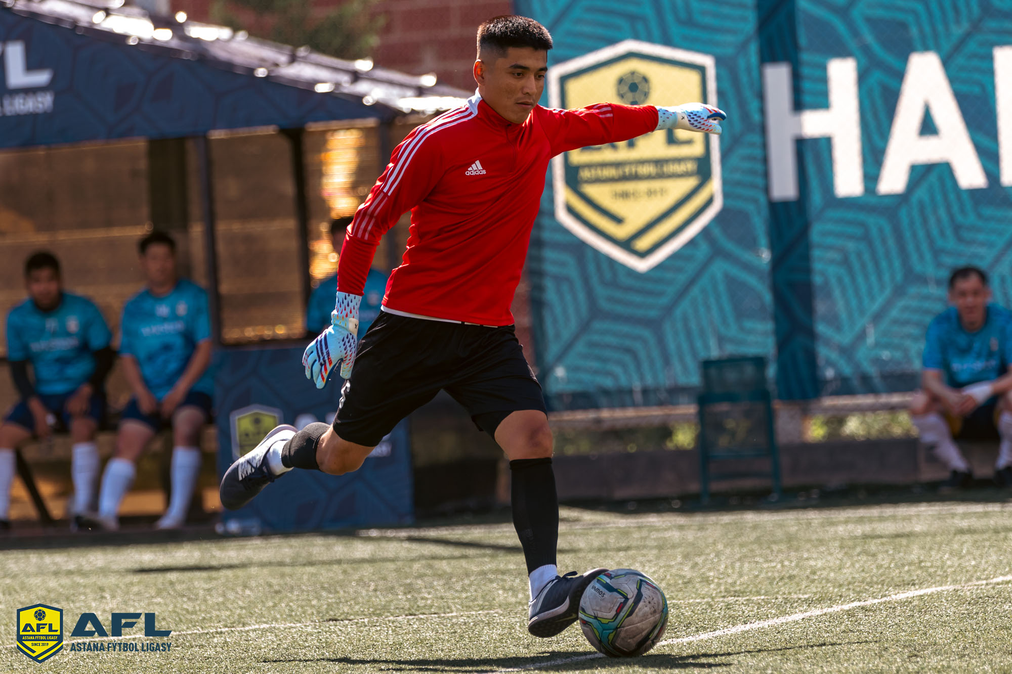 IMG 0542