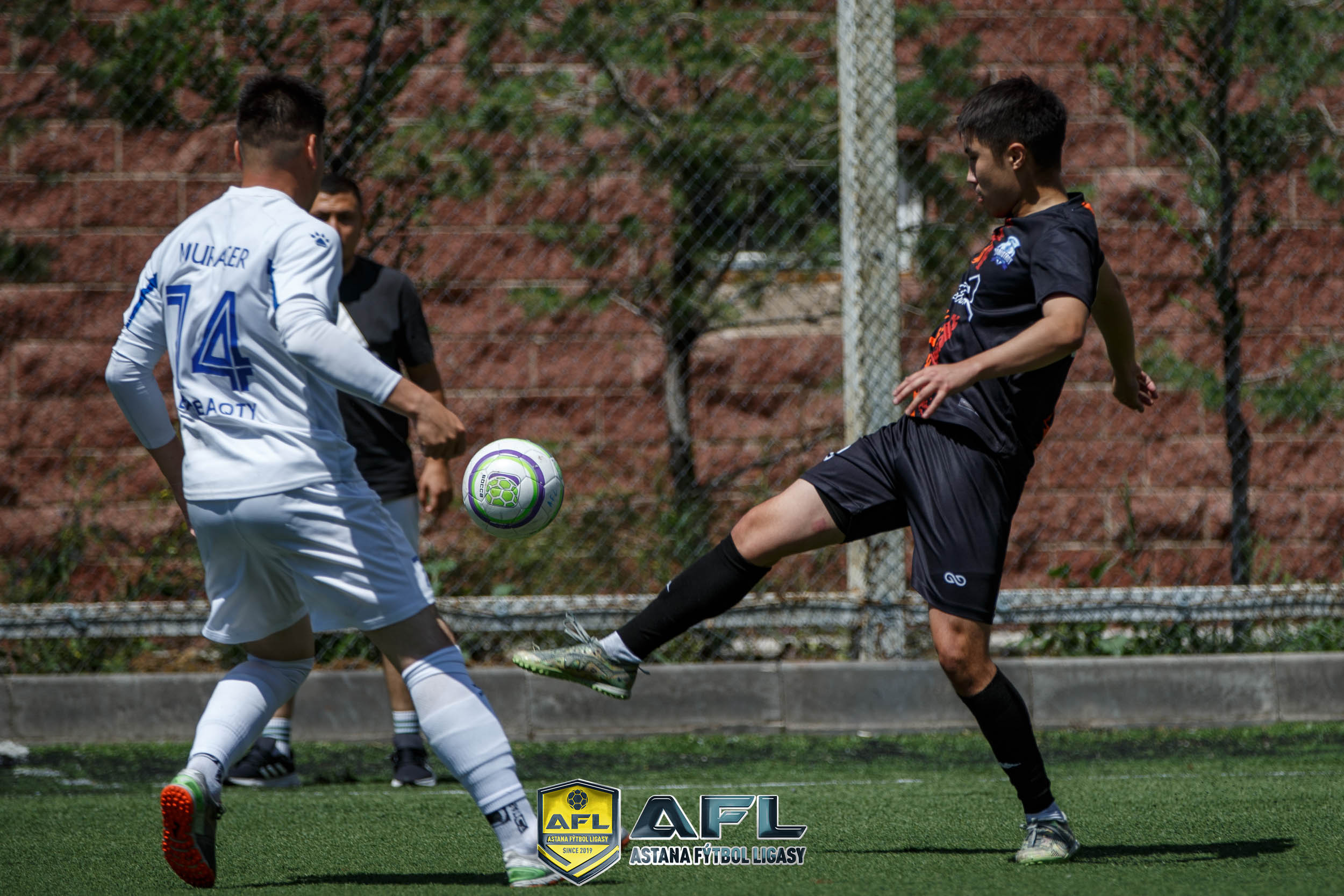 IMG 2814