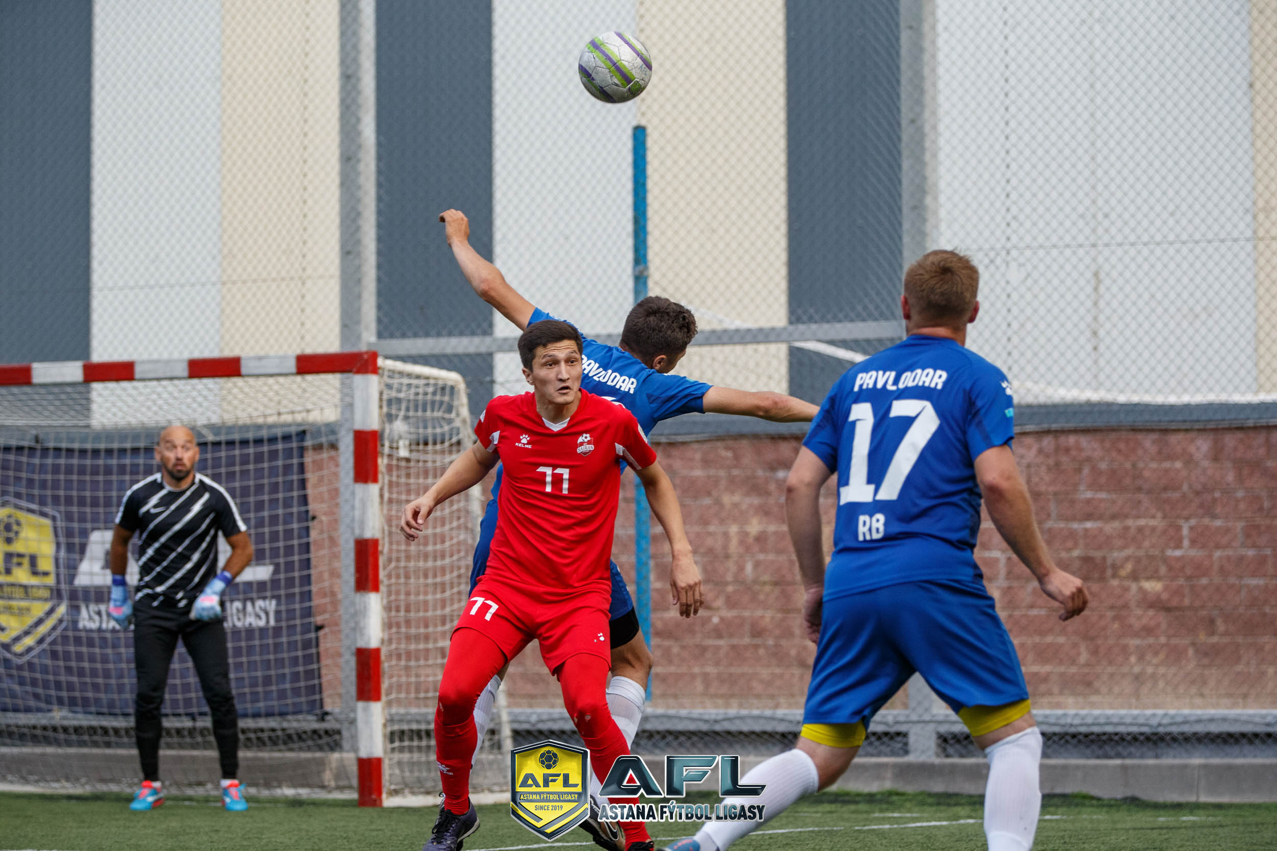 IMG 4203