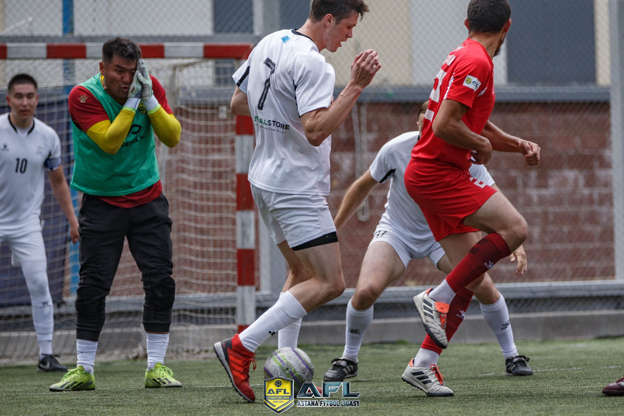 IMG 7549