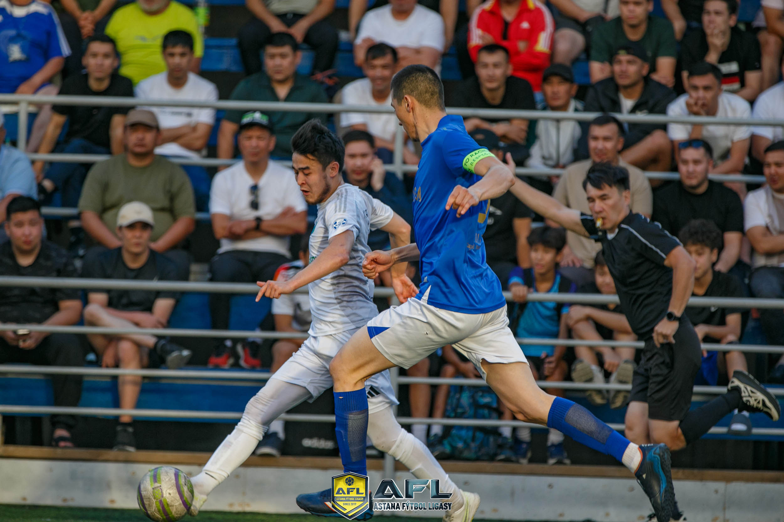 IMG 7046